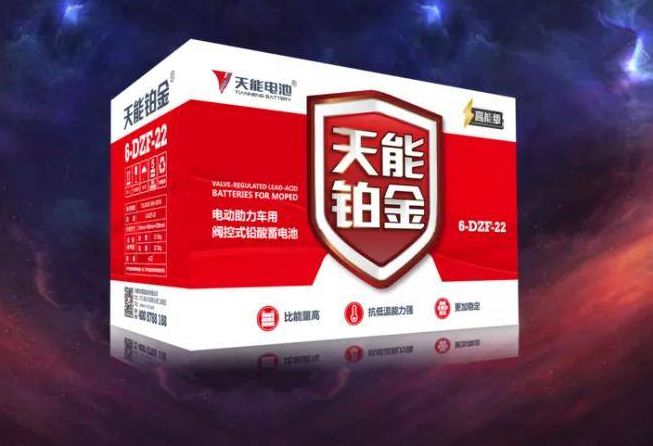 電動車換電池要注意，這4種電池不耐用、續航差