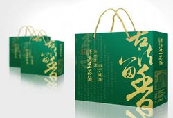 「常發(fā)山茶油」品牌策劃與廣告?zhèn)鞑ト?>
</a>
<div   id=
